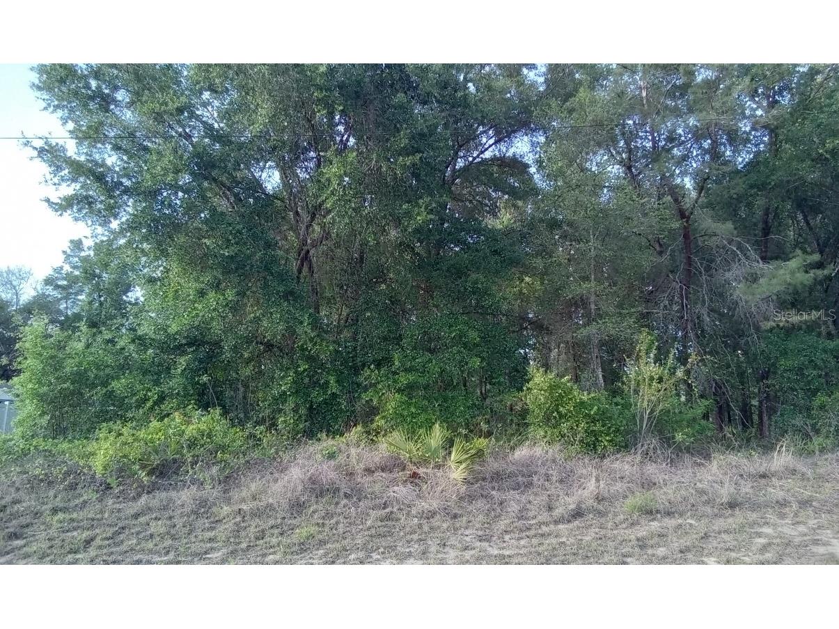 0 SW 168th Loop #2 Ocala FL 34473 O6114394 image1