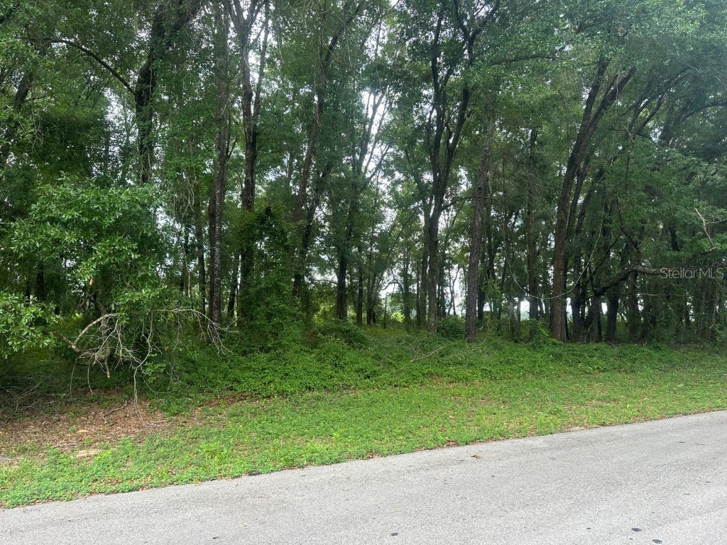 0 SW 168th Loop Ocala FL 34473 OM680640 image1