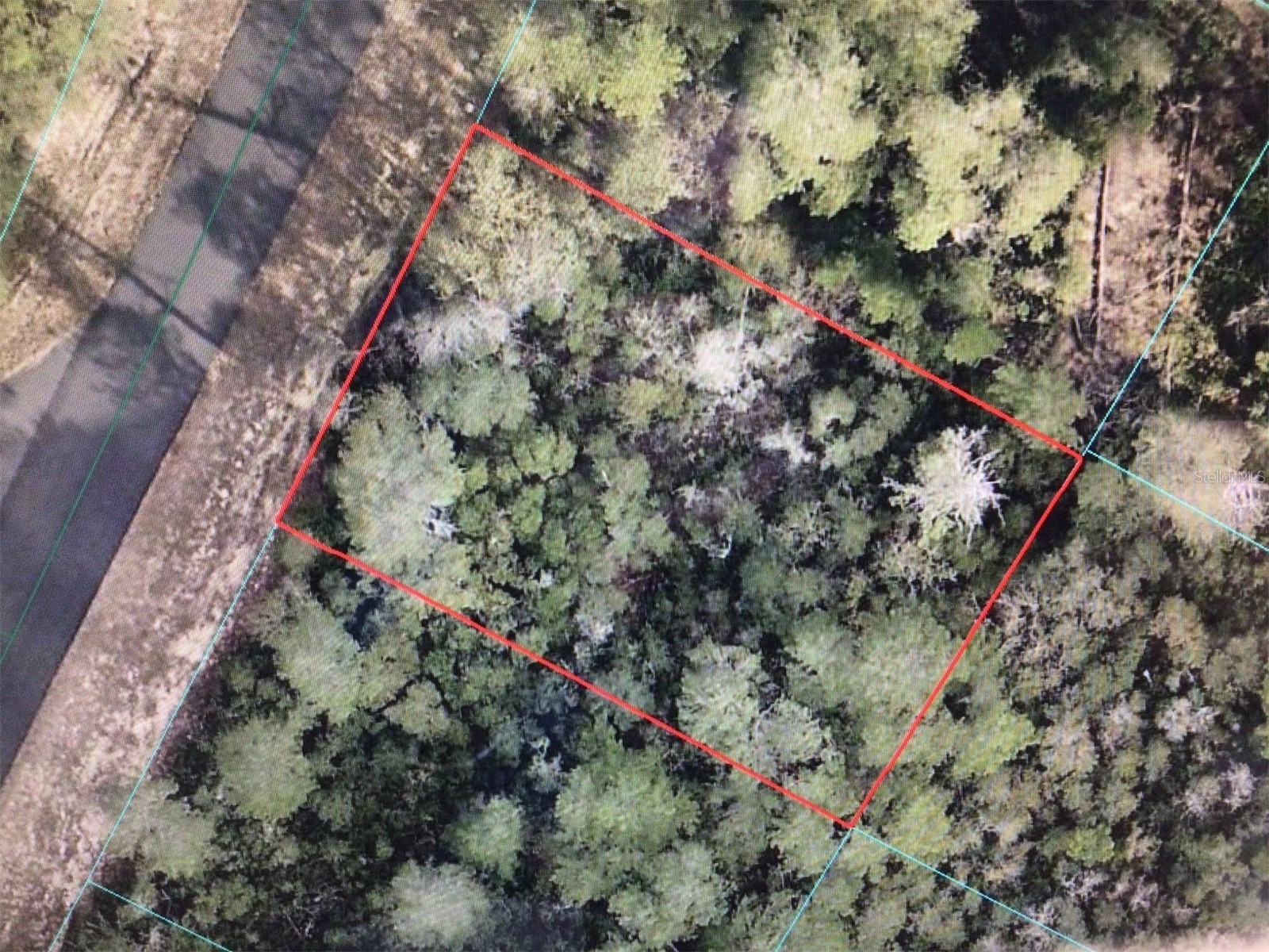 0 SW 169 Place Ocala FL 34473 OM722393 image4