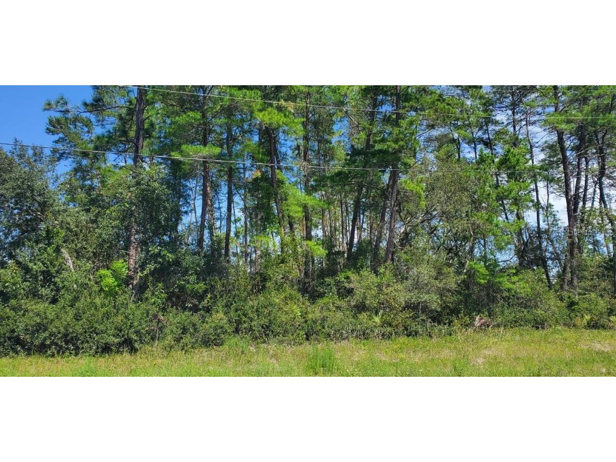 0 SW 171 Place Ocala FL 34473 O6144245 image1