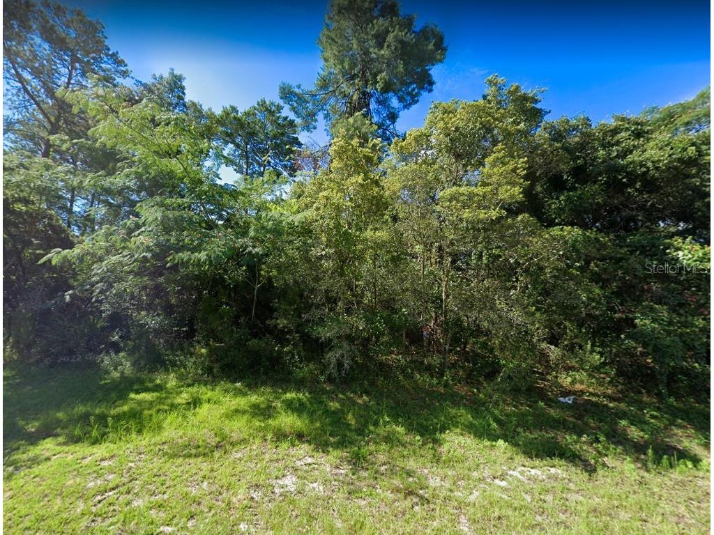 0 Sw 172 Place Road Ocala FL 34473 U8190827 image1