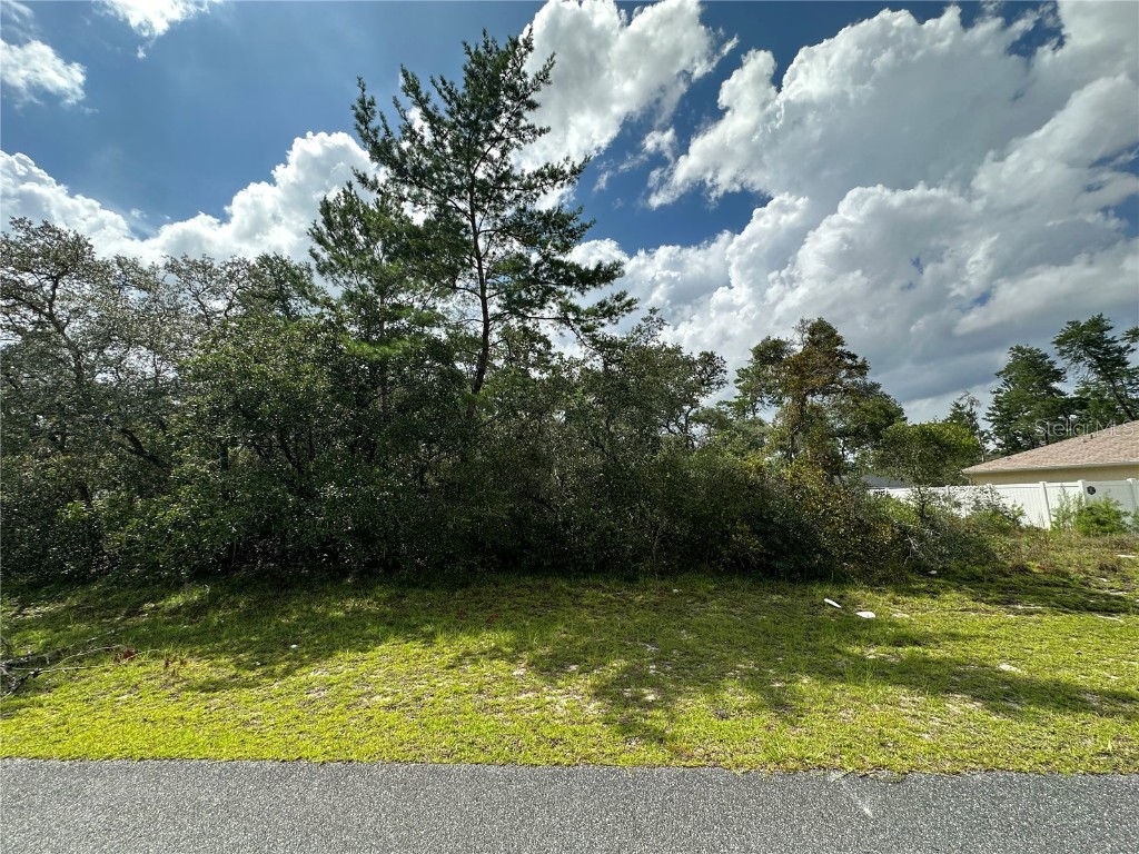0 SW 172nd Lane Ocala FL 34473 U8204925 image1