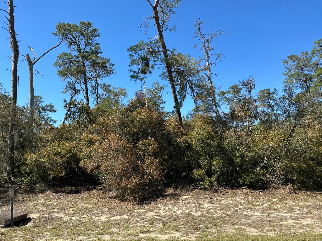 0 SW 175th Loop Ocala FL 34473 OM699678 image1