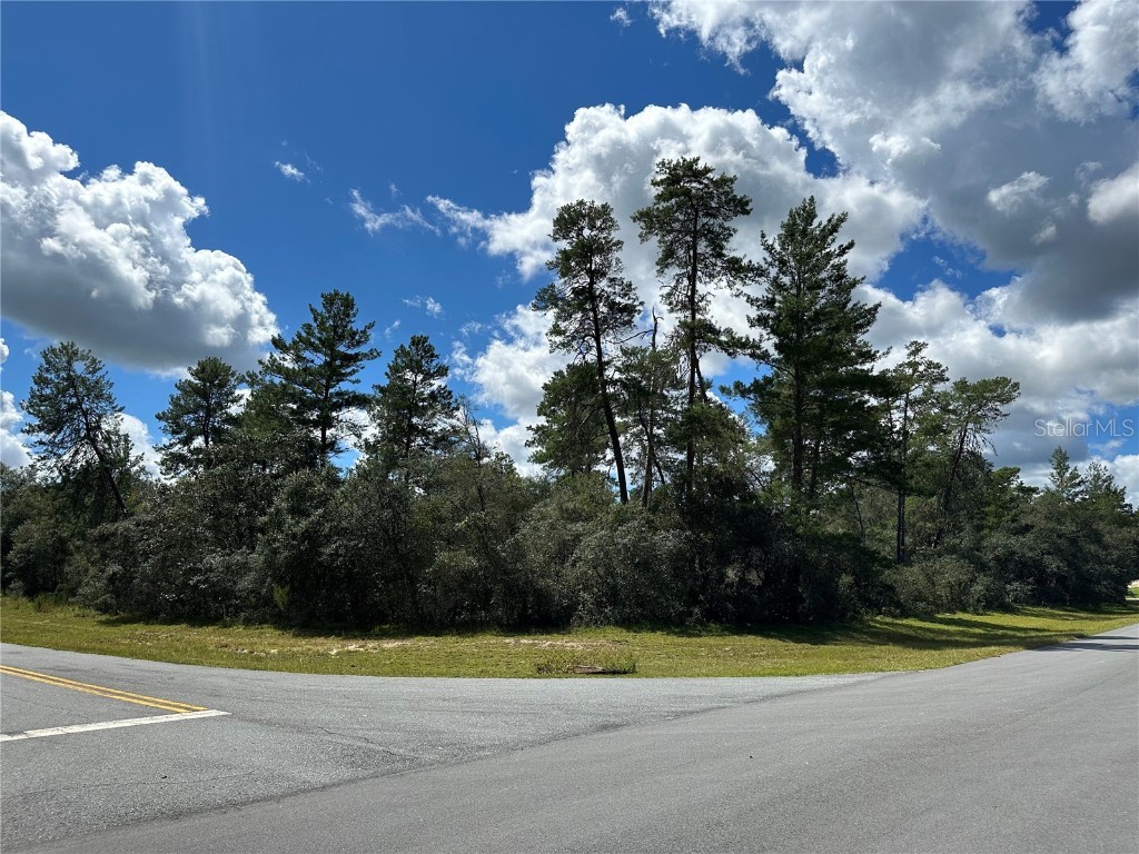 0 SW 176th Lane Road Ocala FL 34473 OM664922 image1