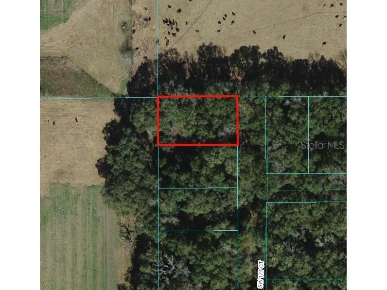 0 SW 177th Ct #LOT 1 Dunnellon FL 34432 OM676851 image1