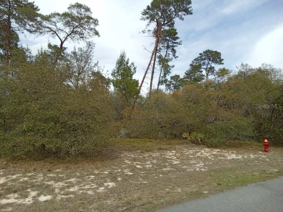 0 SW 177th Lane Road Ocala FL 34473 O6112278 image1