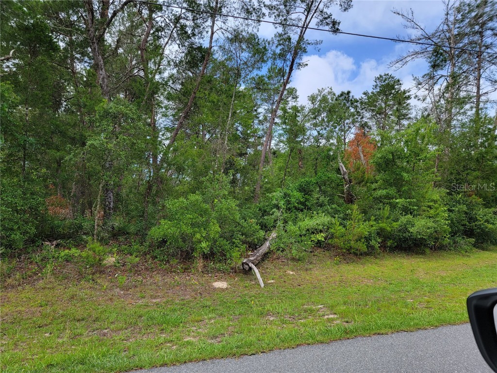 0 Sw 177th Lane Road Ocala FL 34473 OM658567 image1