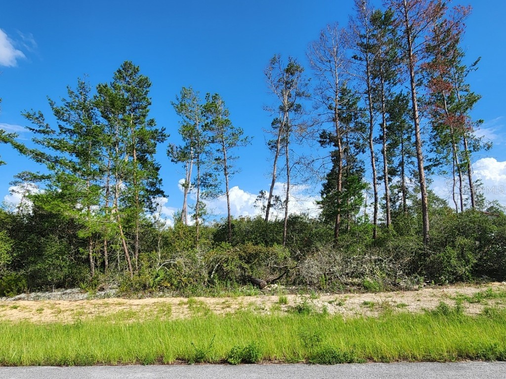 0 SW 177th Place Road Ocala FL 34473 OM660577 image1