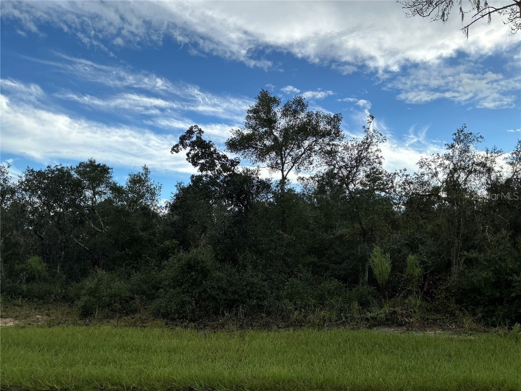 0 SW 178th Streets Ocala FL 34473 OM713130 image1