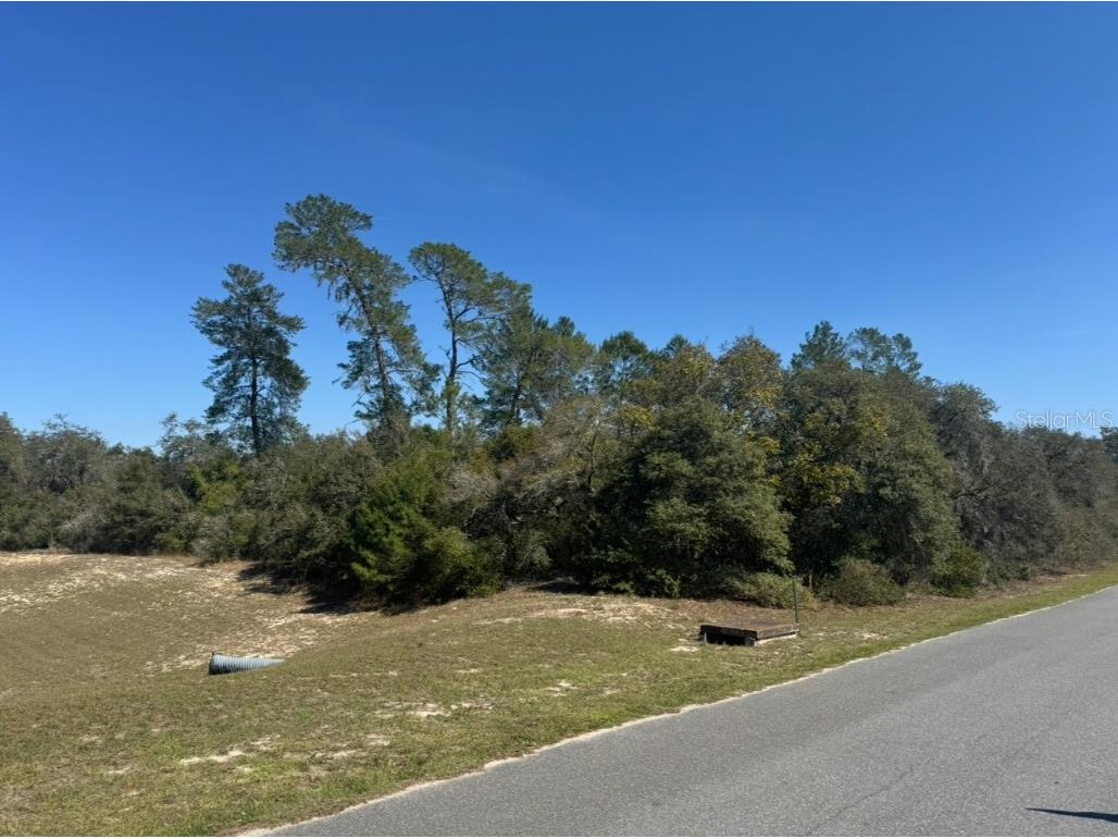 0 SW 17th Circle #LOT 9 Ocklawaha FL 32179 OM716082 image2