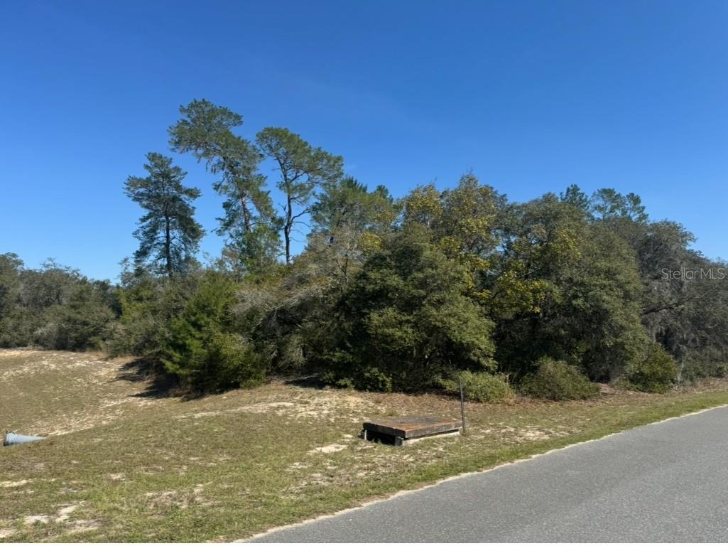 0 SW 17th Circle #LOT 9 Ocklawaha FL 32179 OM716082 image6
