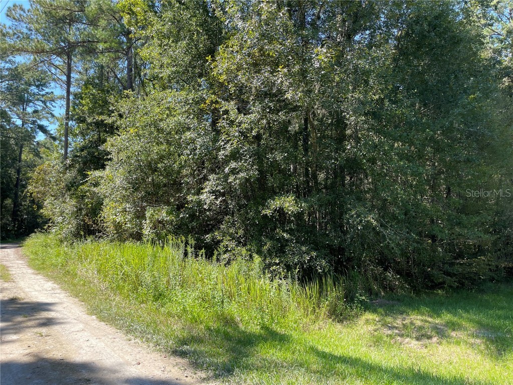 0 SW 17th Street Road Ocala FL 34481 V4926879 image1