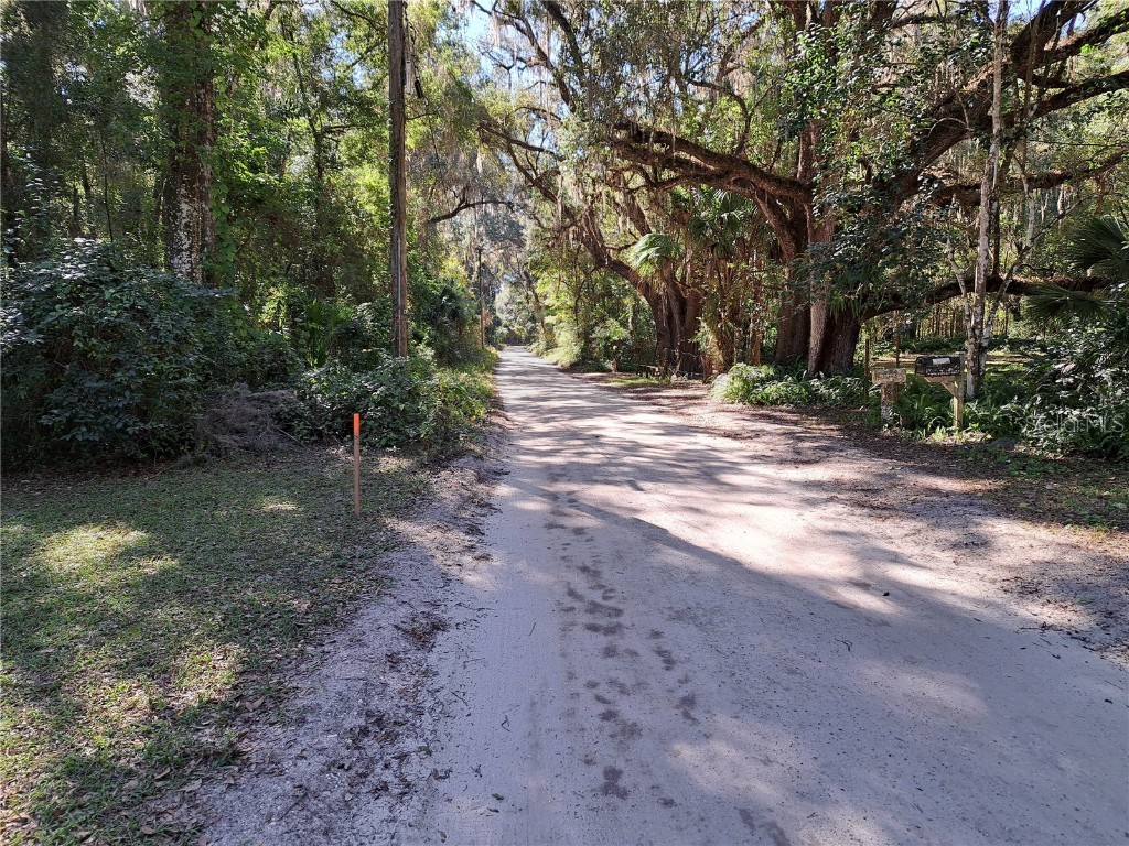 0 SW 17th Terrace Gainesville FL 32608 TB8458215 image3