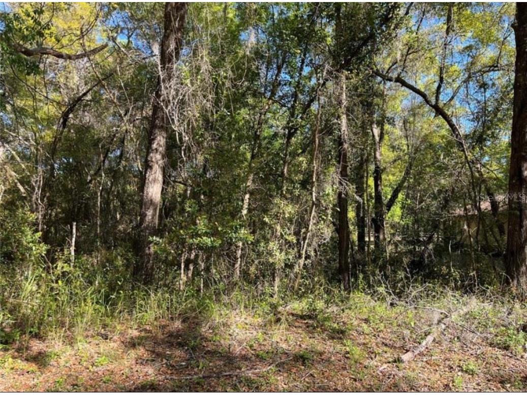 0 SW 188 Circle Dunnellon FL 34432 - RAINBOW RIVER OM683457 image1