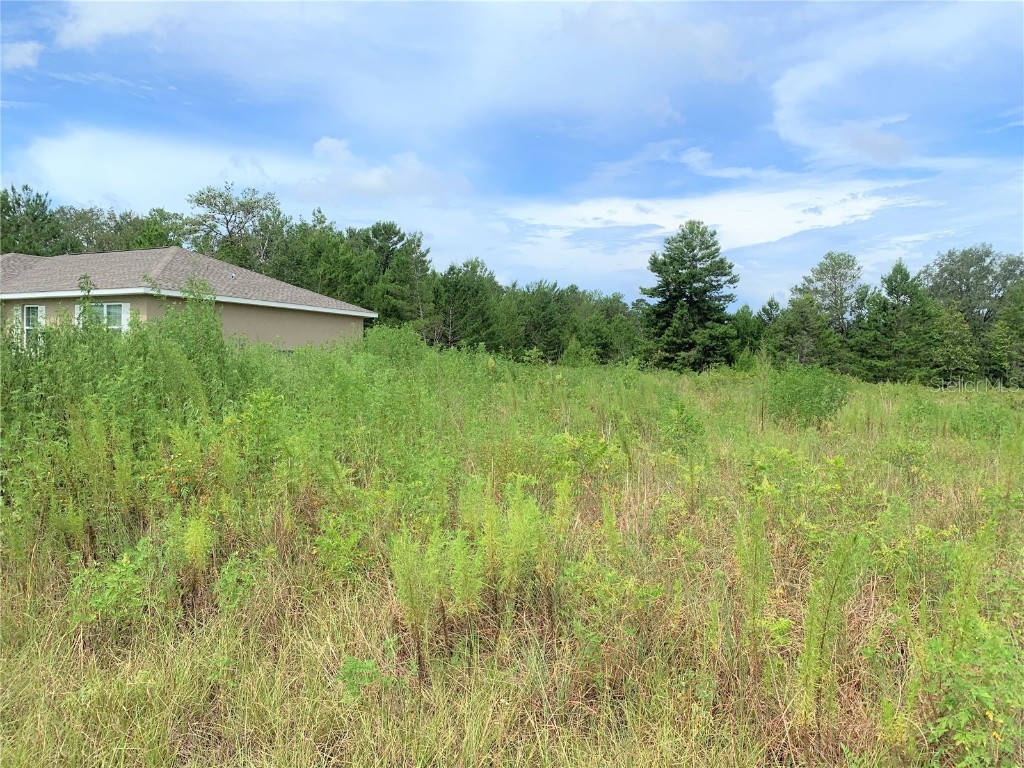 0 SW 18th Avenue Road SW Ocala FL 34473 OM663181 image1