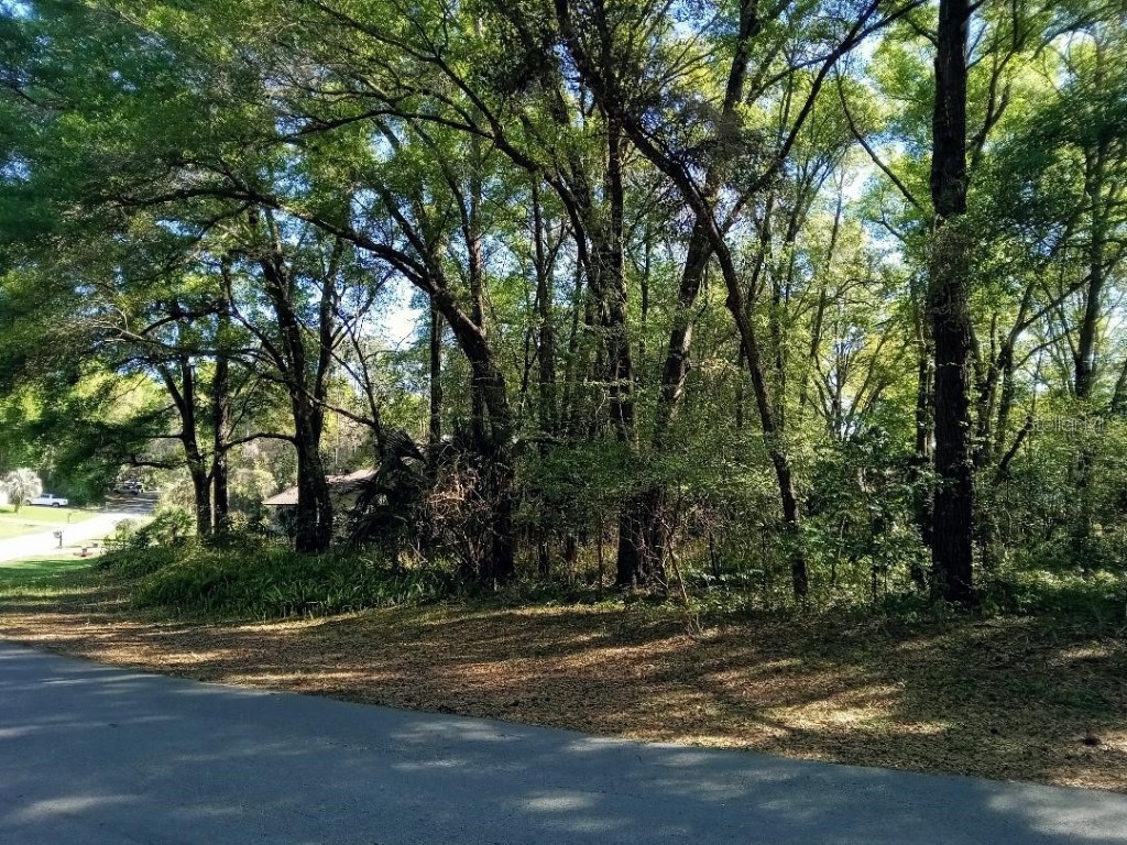 0 SW 190th Circle Dunnellon FL 34432 OM654896 image1