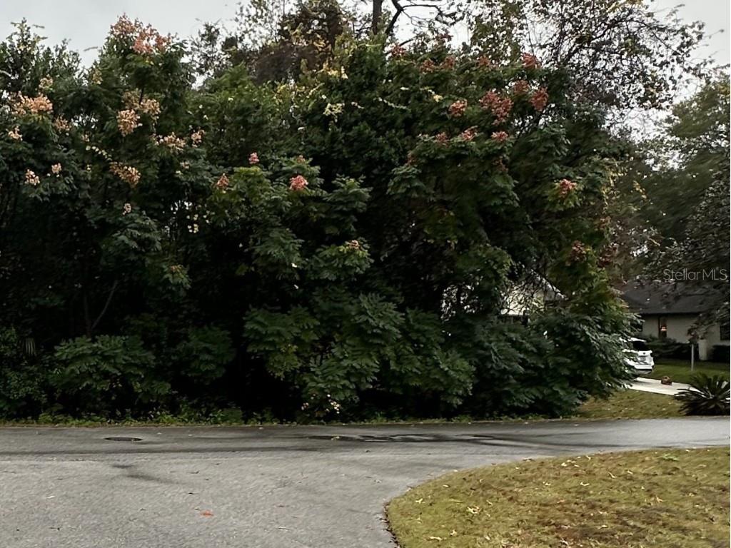 0 SW 198th Circle Dunnellon FL 34432 OM668892 image1