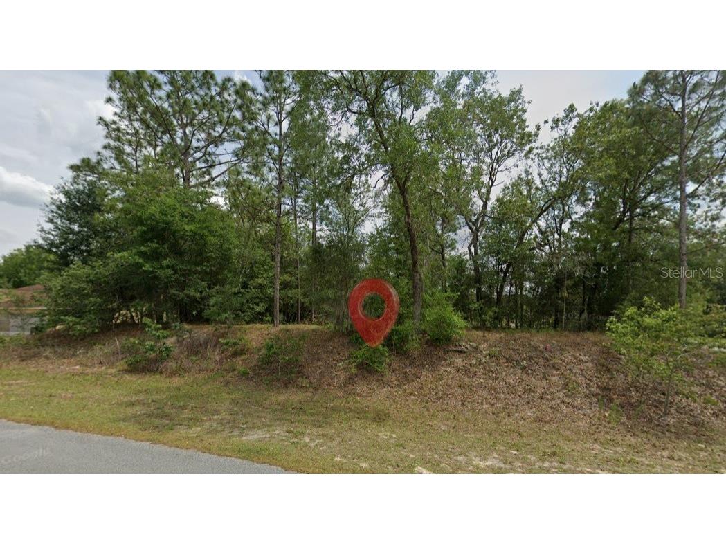 0 SW 198th Circle Dunnellon FL 34432 TB8510794 image1