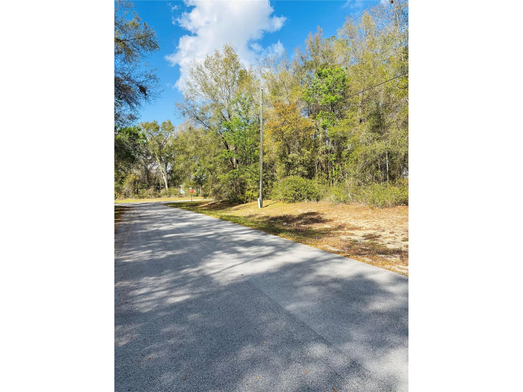 0 SW 19th Ave Road #3 Ocala FL 34473 OM720915 image1