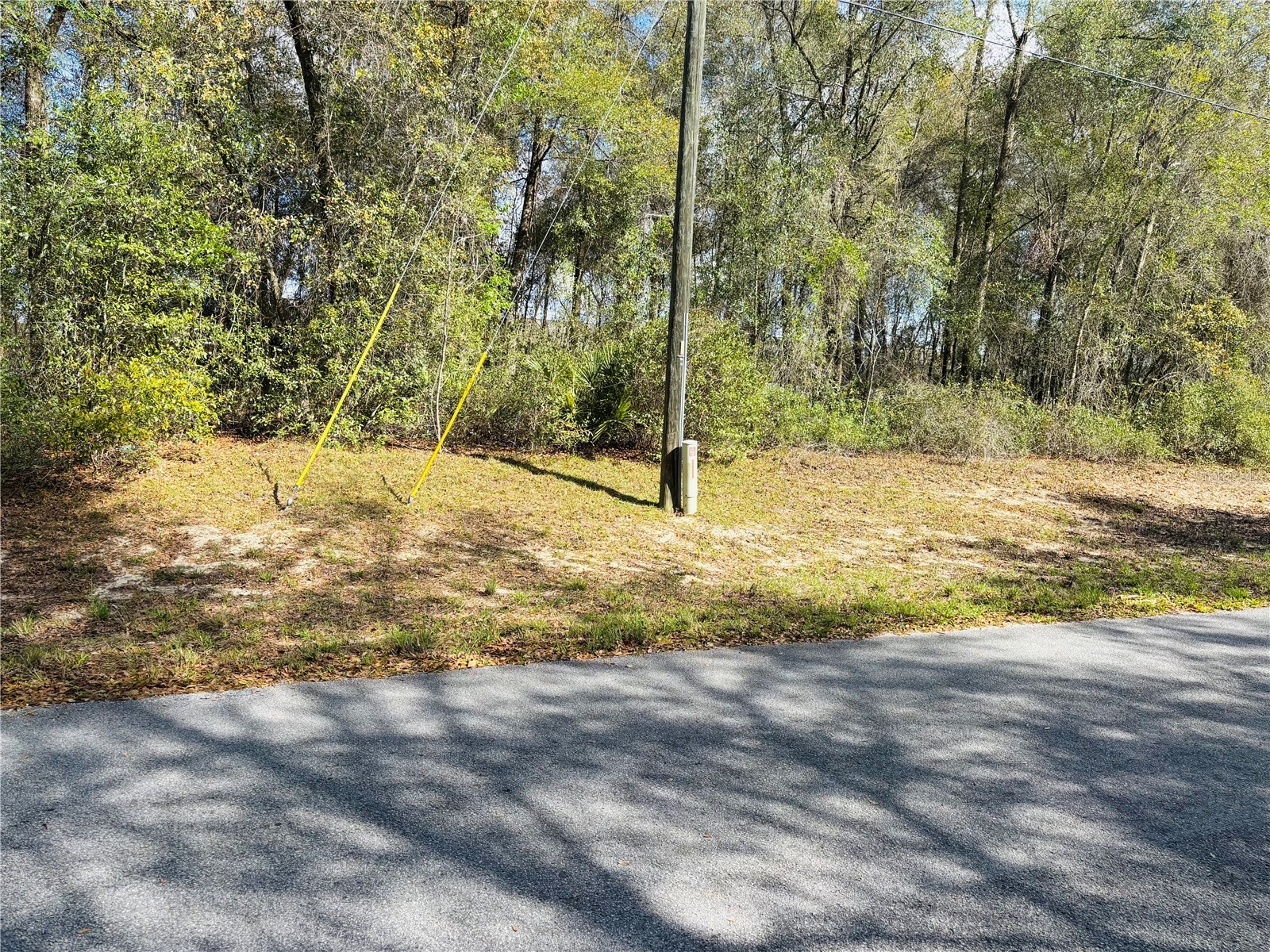 0 SW 19th Ave Road #3 Ocala FL 34473 OM720915 image2