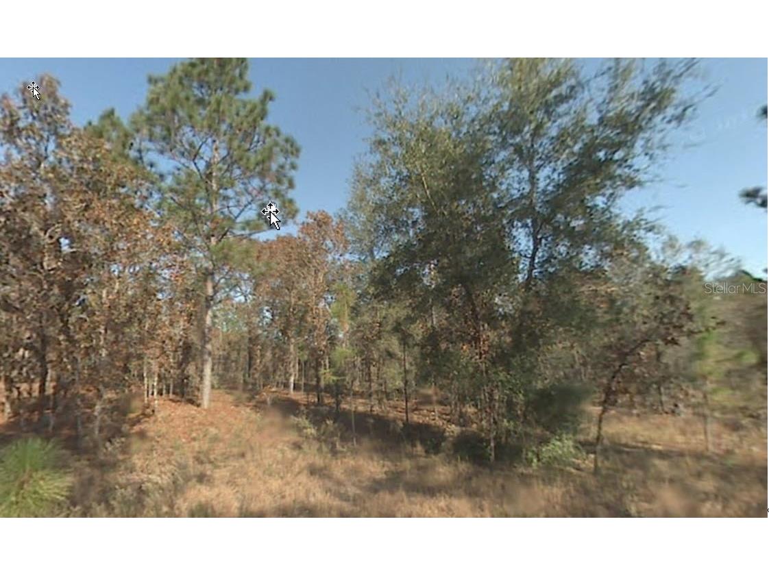 0 SW 19th Place Ocala FL 34481 A4672977 image3