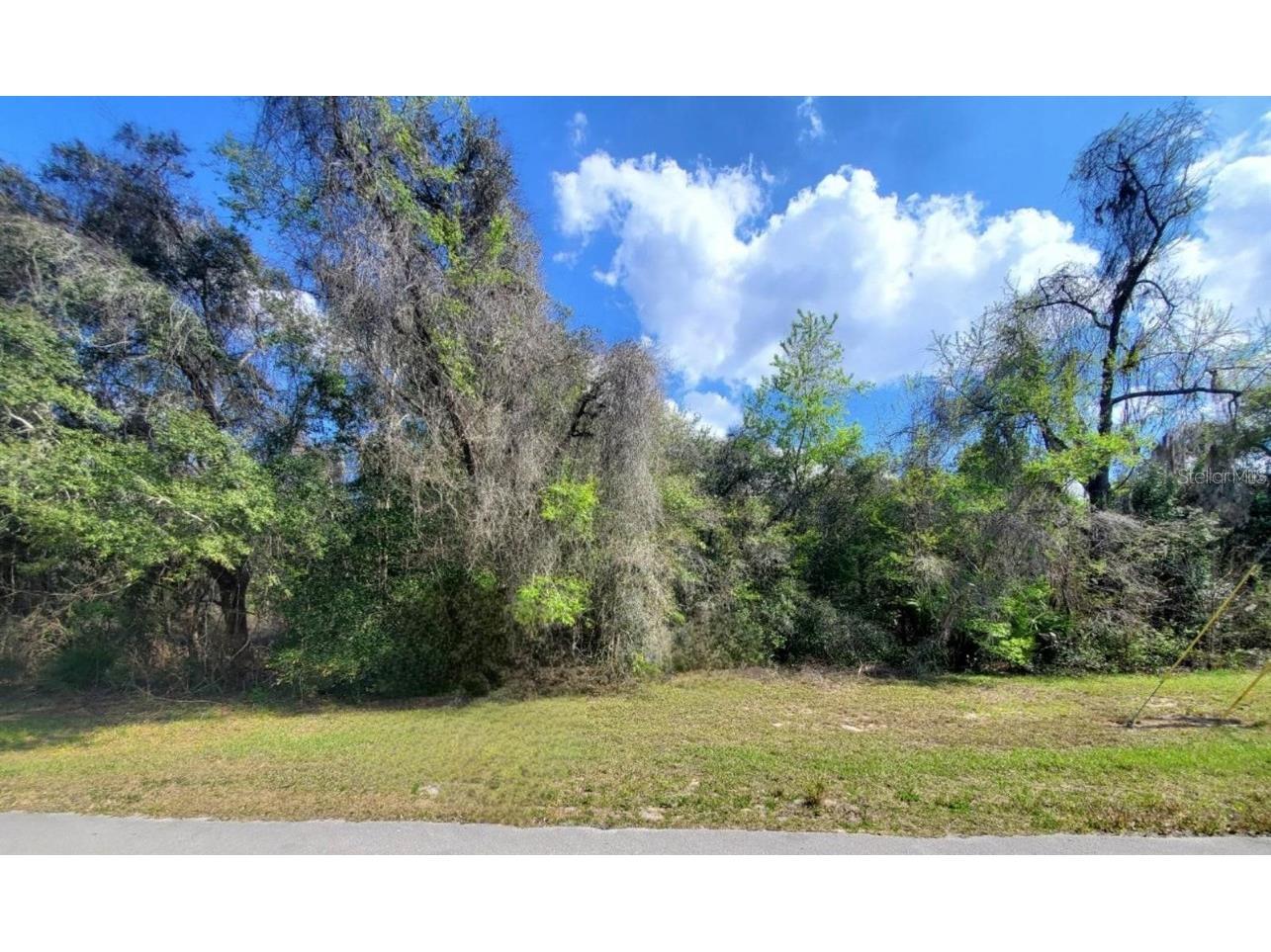 0 SW 19th Terrace Ocala FL 34473 S5117956 image1