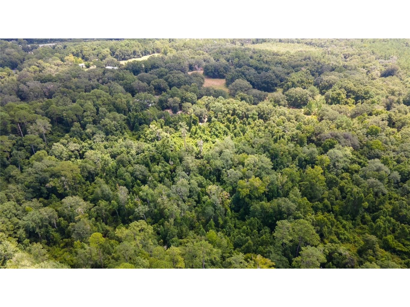 0 SW 1st Street Micanopy FL 32667 GC523984 image12