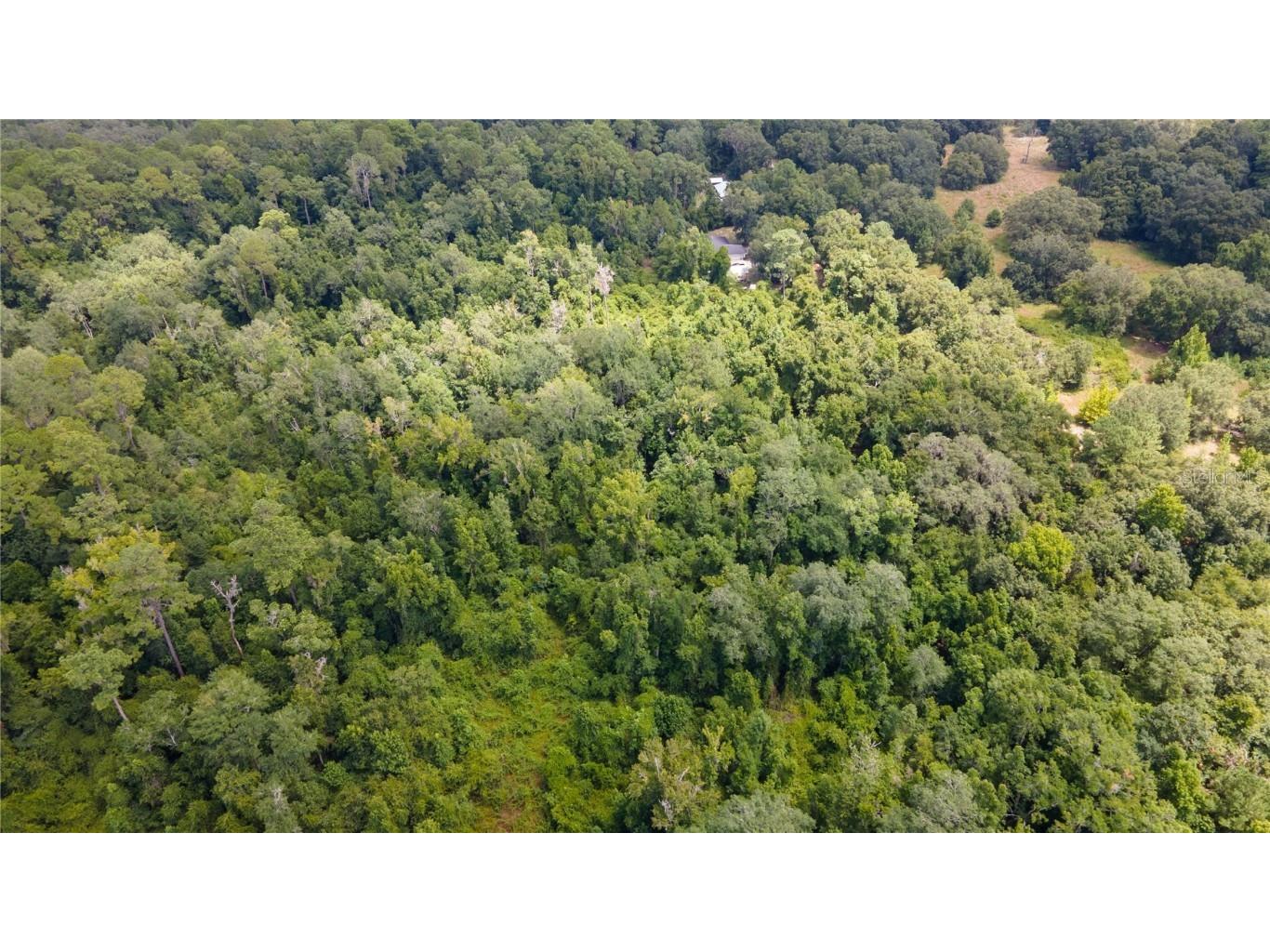 0 SW 1st Street Micanopy FL 32667 GC523984 image13