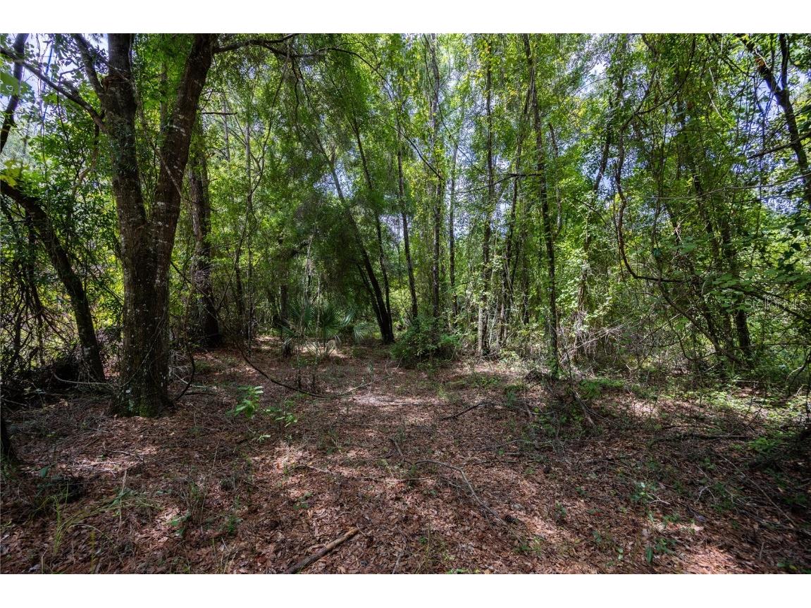 0 SW 1st Street Micanopy FL 32667 GC523984 image3