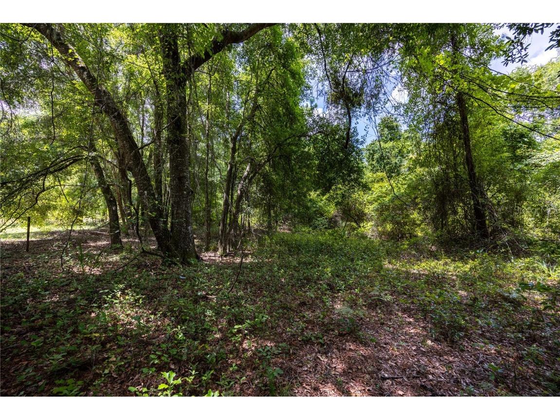 0 SW 1st Street Micanopy FL 32667 GC523984 image4