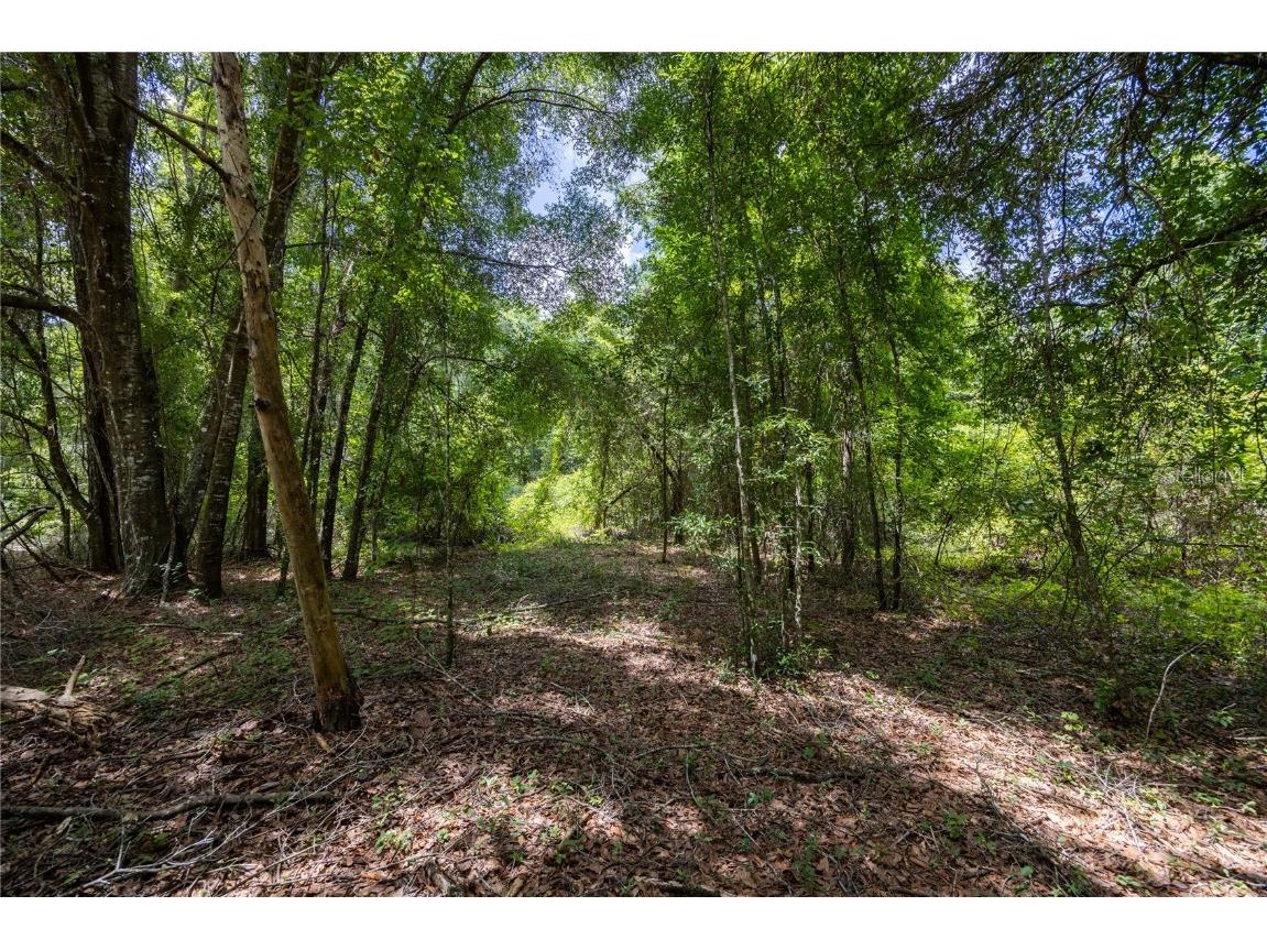 0 SW 1st Street Micanopy FL 32667 GC523984 image5