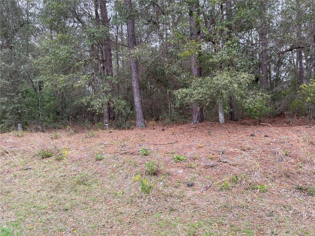 0 SW 202 Circle Dunnellon FL 34431 OM673025 image1