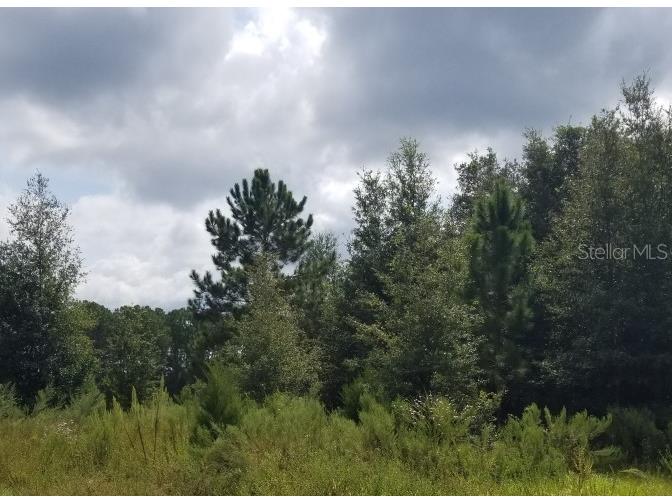 0 SW 202nd Ct Dunnellon FL 34431 OM688436 image1