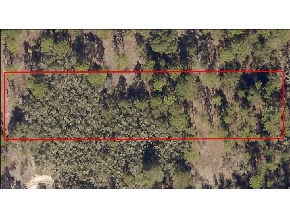 0 SW 204th Ave Dunnellon FL 34431 OM652966 image1