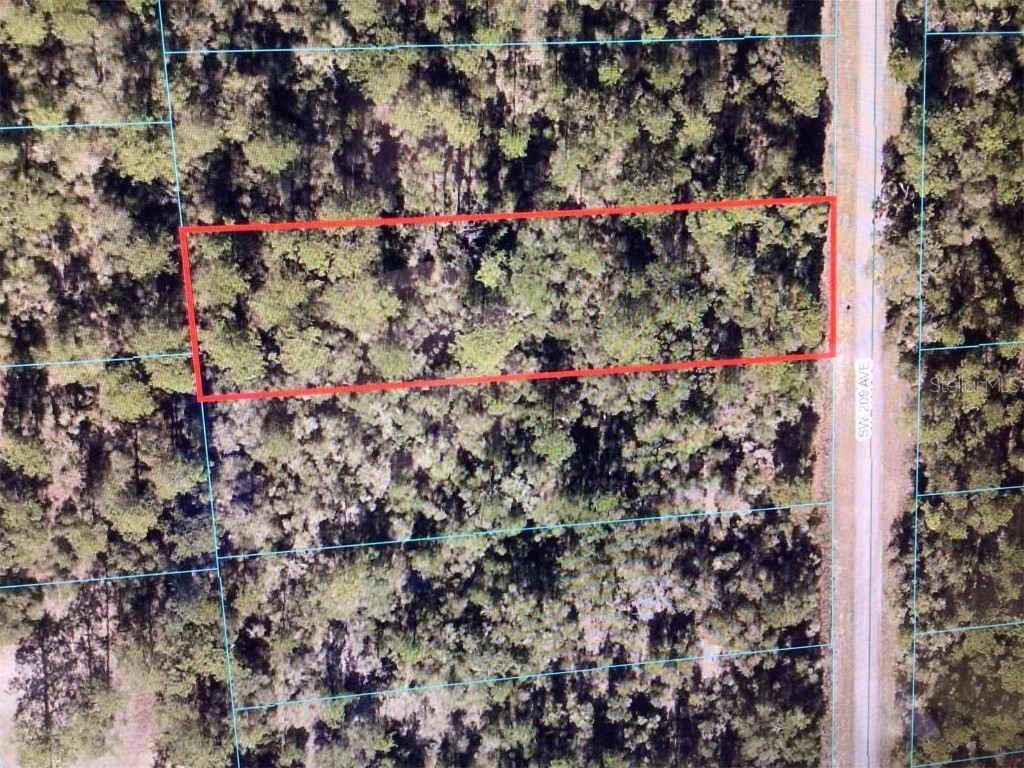 0 SW 209 Avenue Dunnellon FL 34431 OM686020 image1