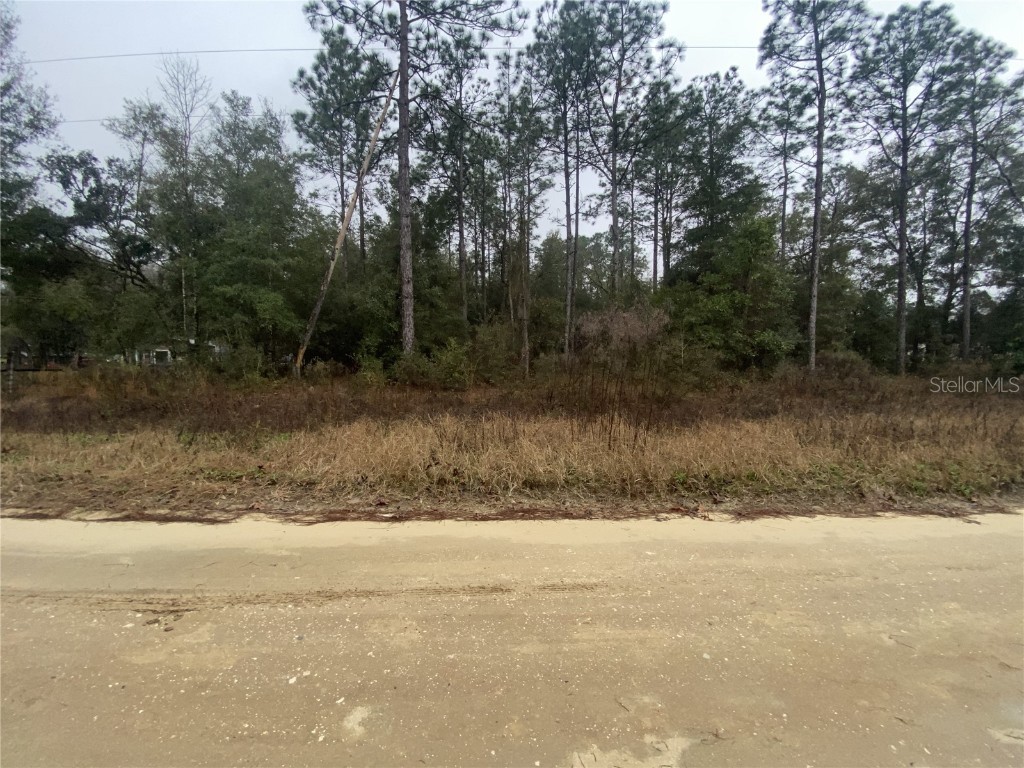 0 SW 20th Lane Ocala FL 34481 A4561854 image1
