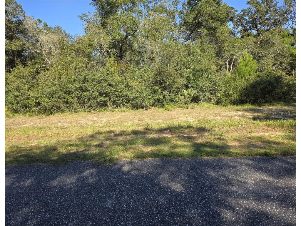 0 SW 21 Lane Ocala FL 34473 OM709603 image1