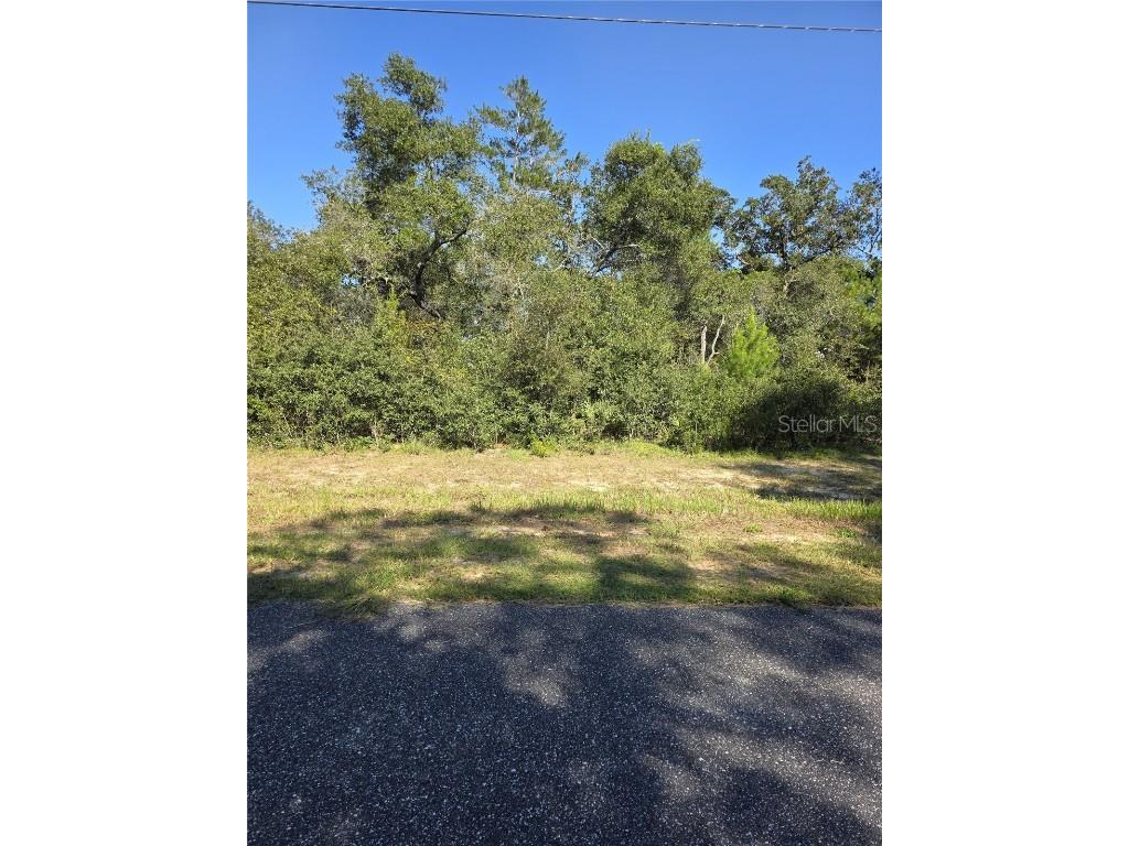 0 SW 21 Lane Ocala FL 34473 OM709603 image3