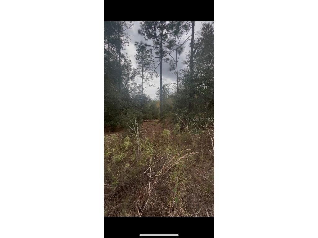0 SW 21 Place Ocala FL 34481 O6368945 image1