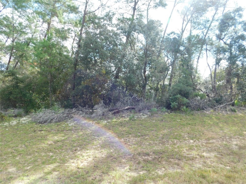 0 SW 21st Circle Ocala FL 34473 OM666897 image1