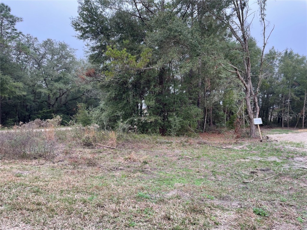 0 SW 21st Place Ocala FL 34481 OM632058 image1