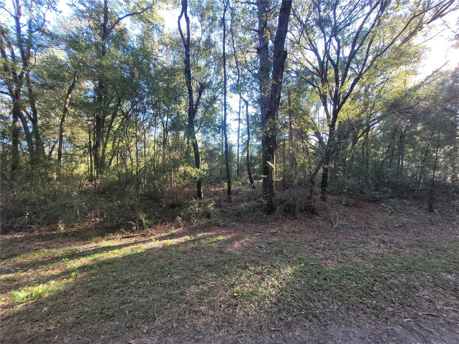 0 SW 22nd Place Ocala FL 34481 W7886115 image1