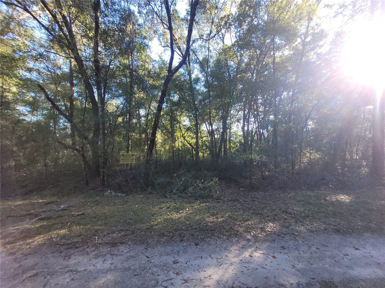 0 SW 22nd Place Ocala FL 34481 W7886115 image2