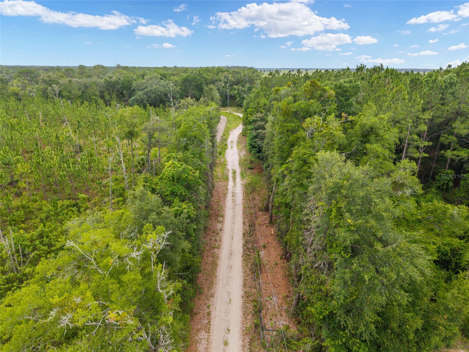0 SW 234th Street Newberry FL 32669 GC537006 image10