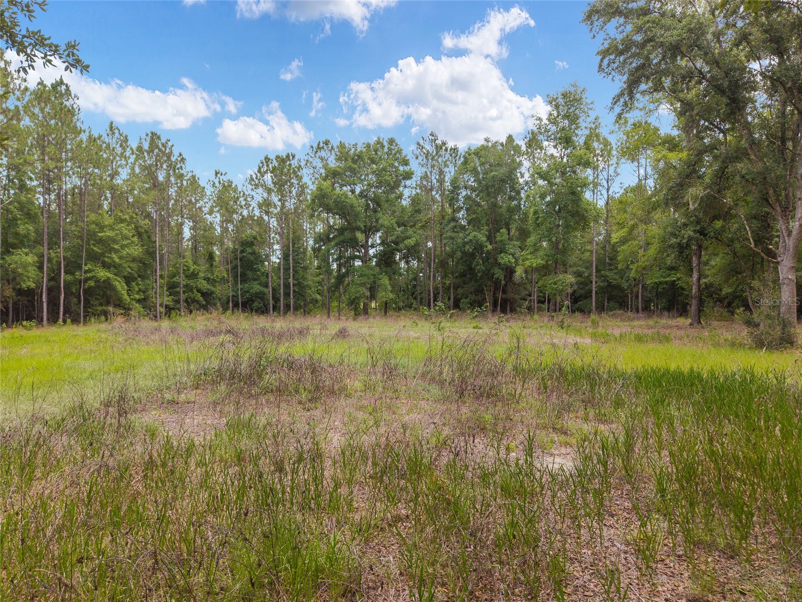 0 SW 234th Street Newberry FL 32669 GC537006 image19