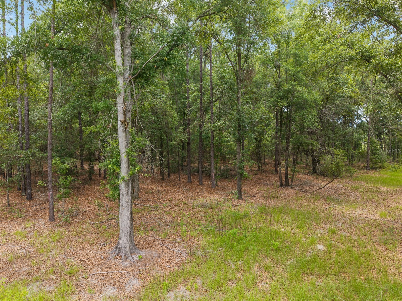 0 SW 234th Street Newberry FL 32669 GC537006 image20