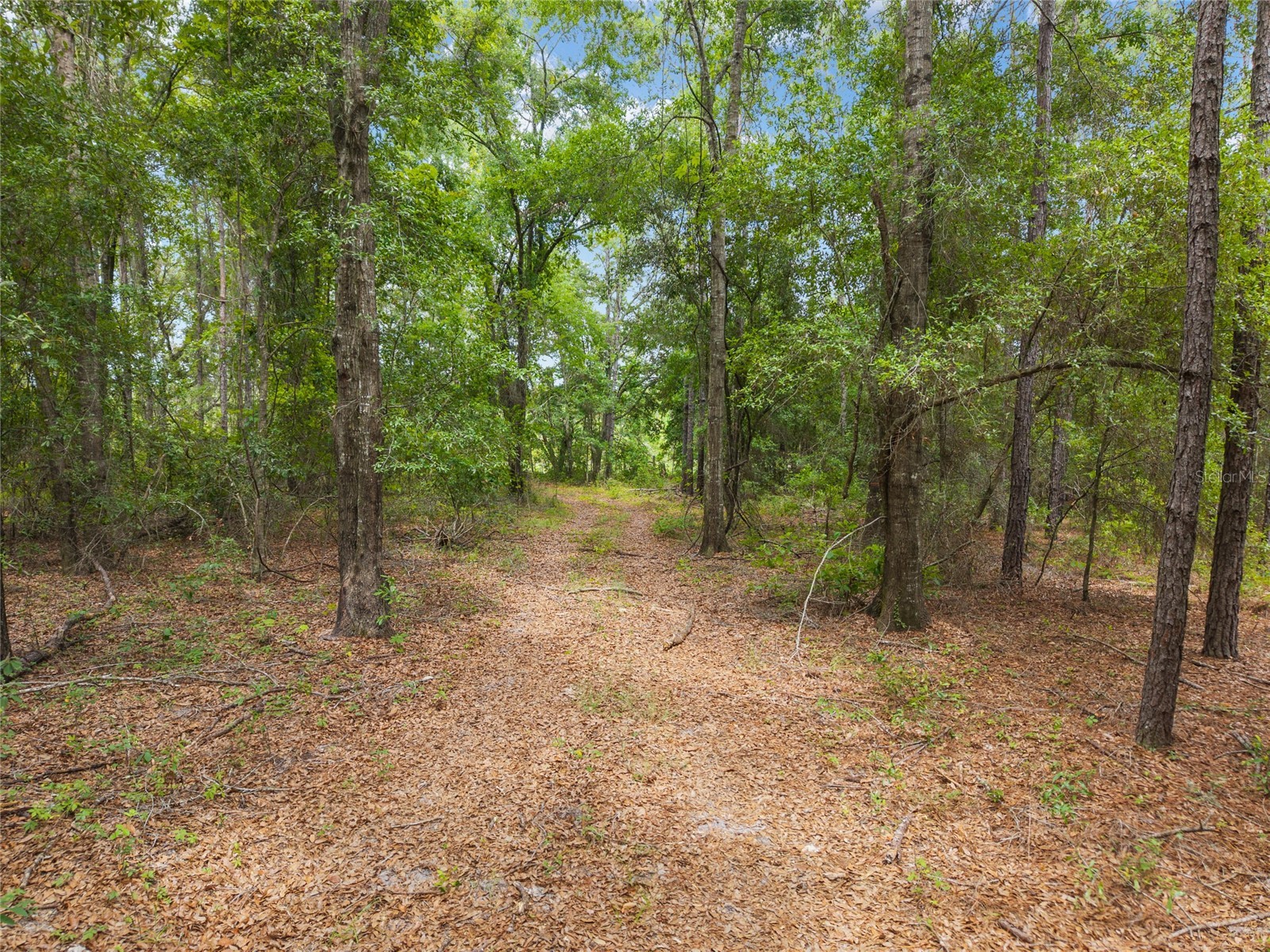 0 SW 234th Street Newberry FL 32669 GC537006 image21