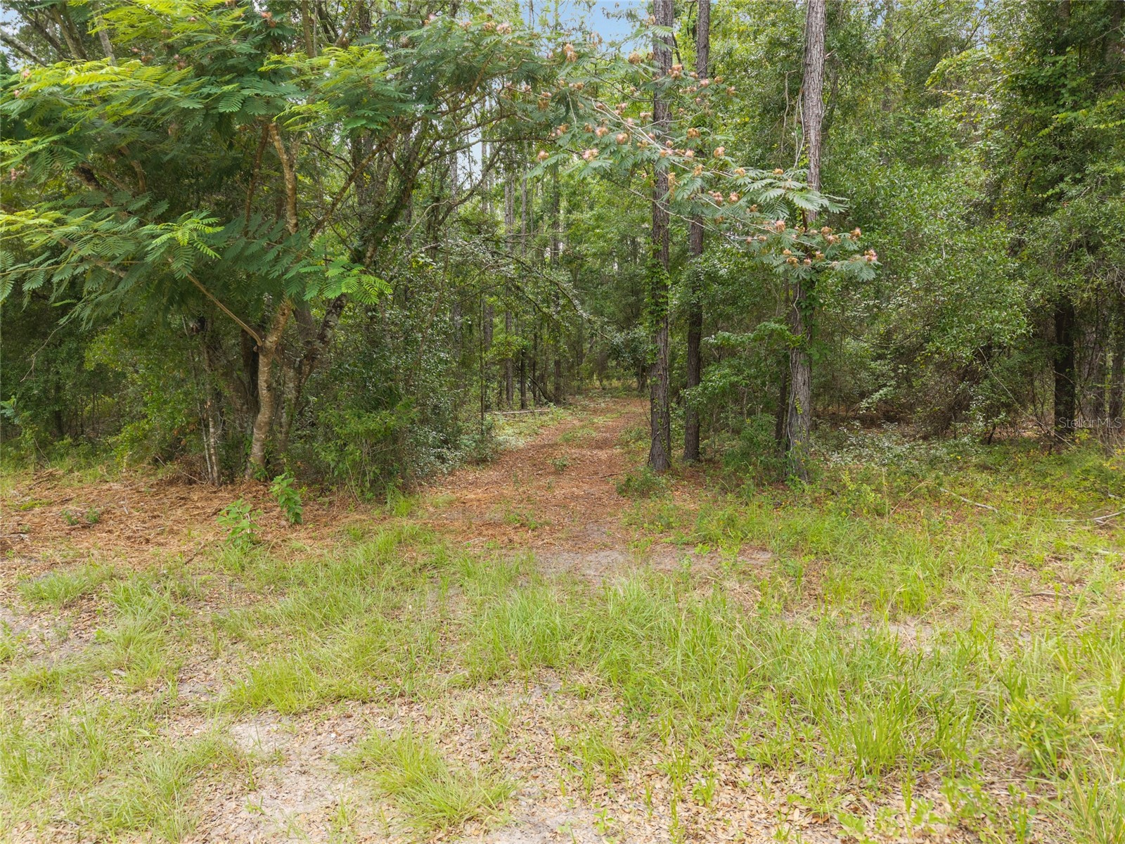 0 SW 234th Street Newberry FL 32669 GC537006 image22