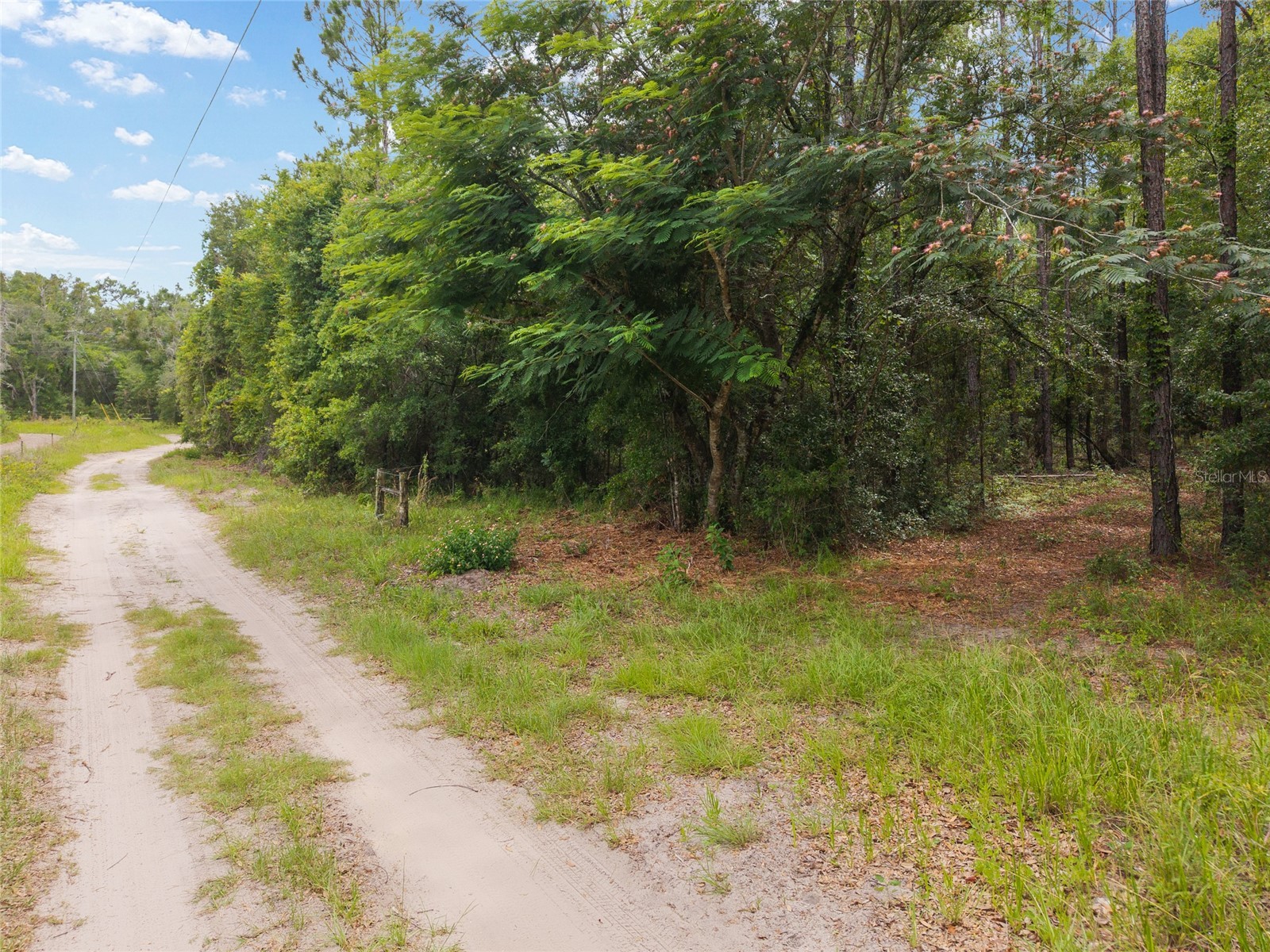 0 SW 234th Street Newberry FL 32669 GC537006 image23