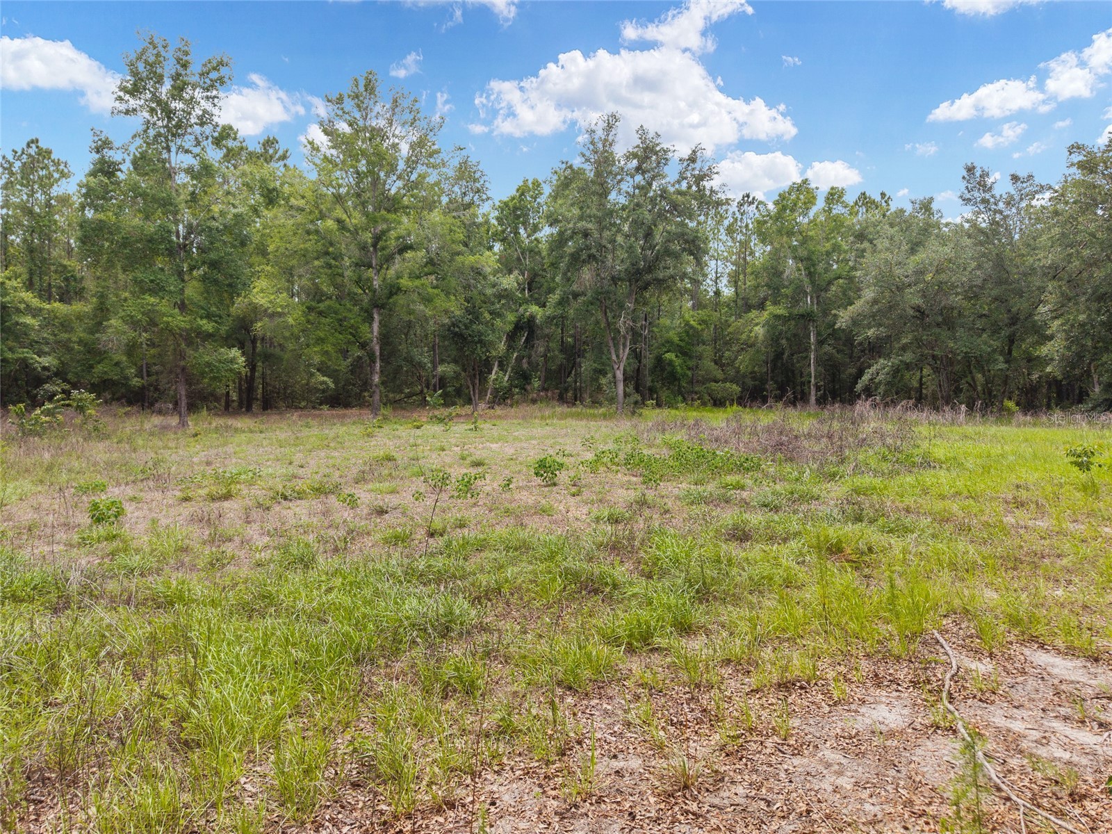 0 SW 234th Street Newberry FL 32669 GC537006 image24